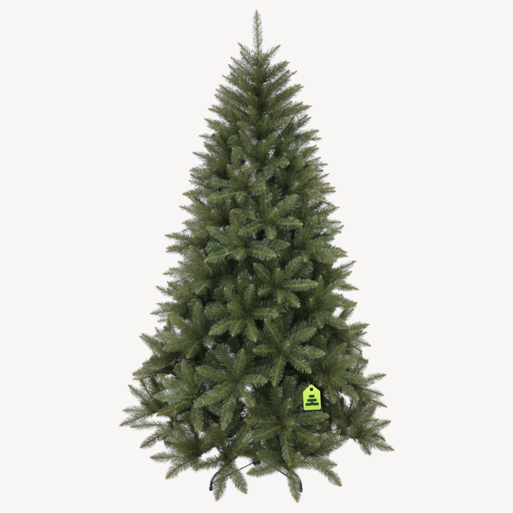 Smrek Kavkazský 150 cm