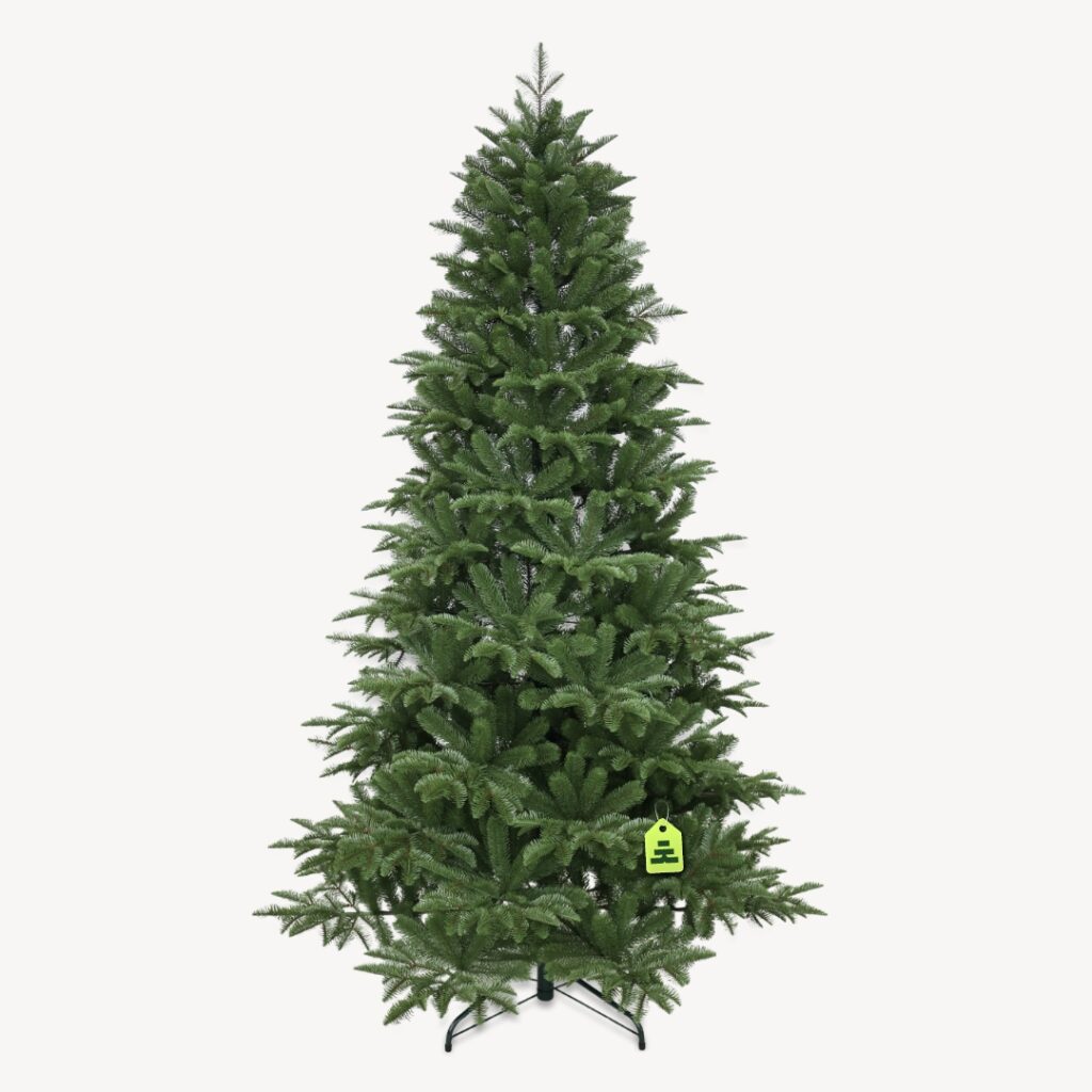 Jedľa Kaukazská 100% 180 cm
