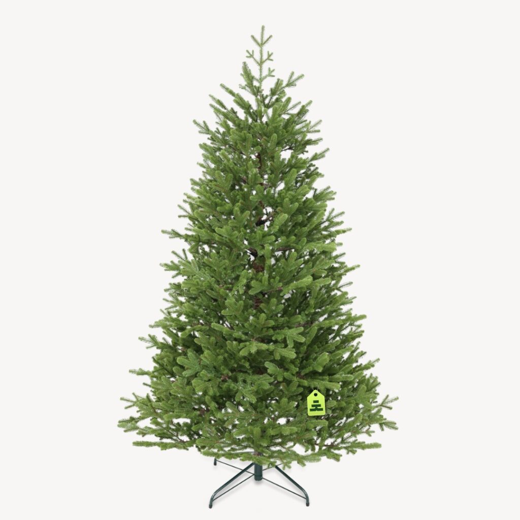 Smrek Natura 100% 180 cm