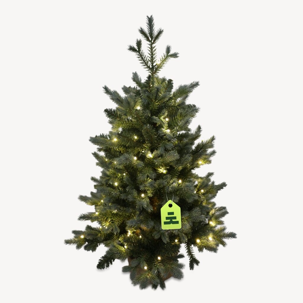 Smrek Modrý 100 LED 90 cm