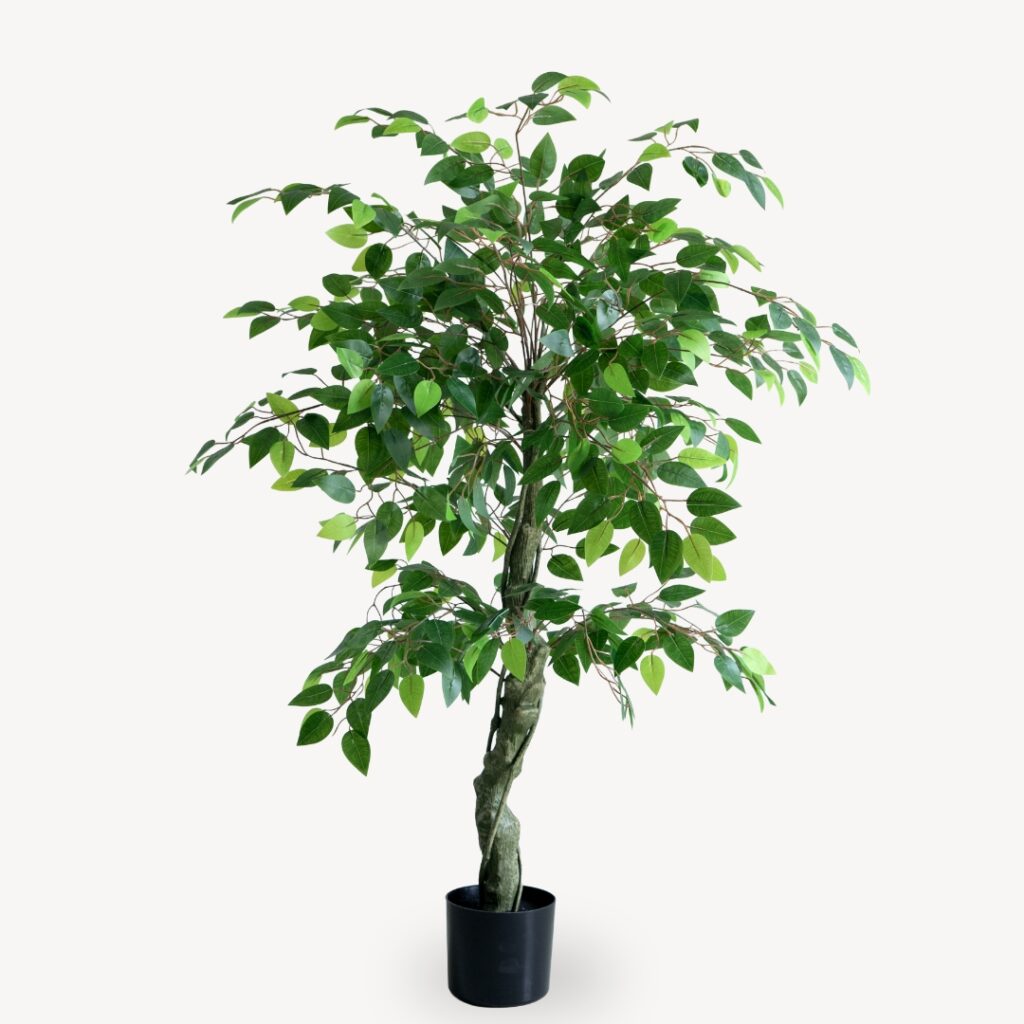 Umelý Fikus Viacposchodový 150 cm