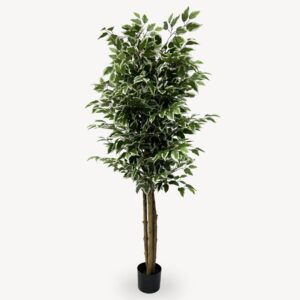 Umělý Ficus Twilight 160 cm