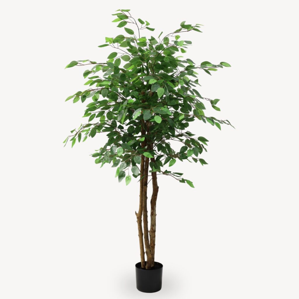Umelý Fikus Zelený 160 cm