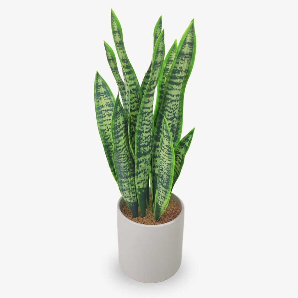Umelá Sansevieria 60 cm