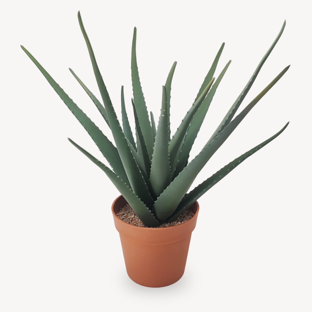Umelé Aloe 59 cm
