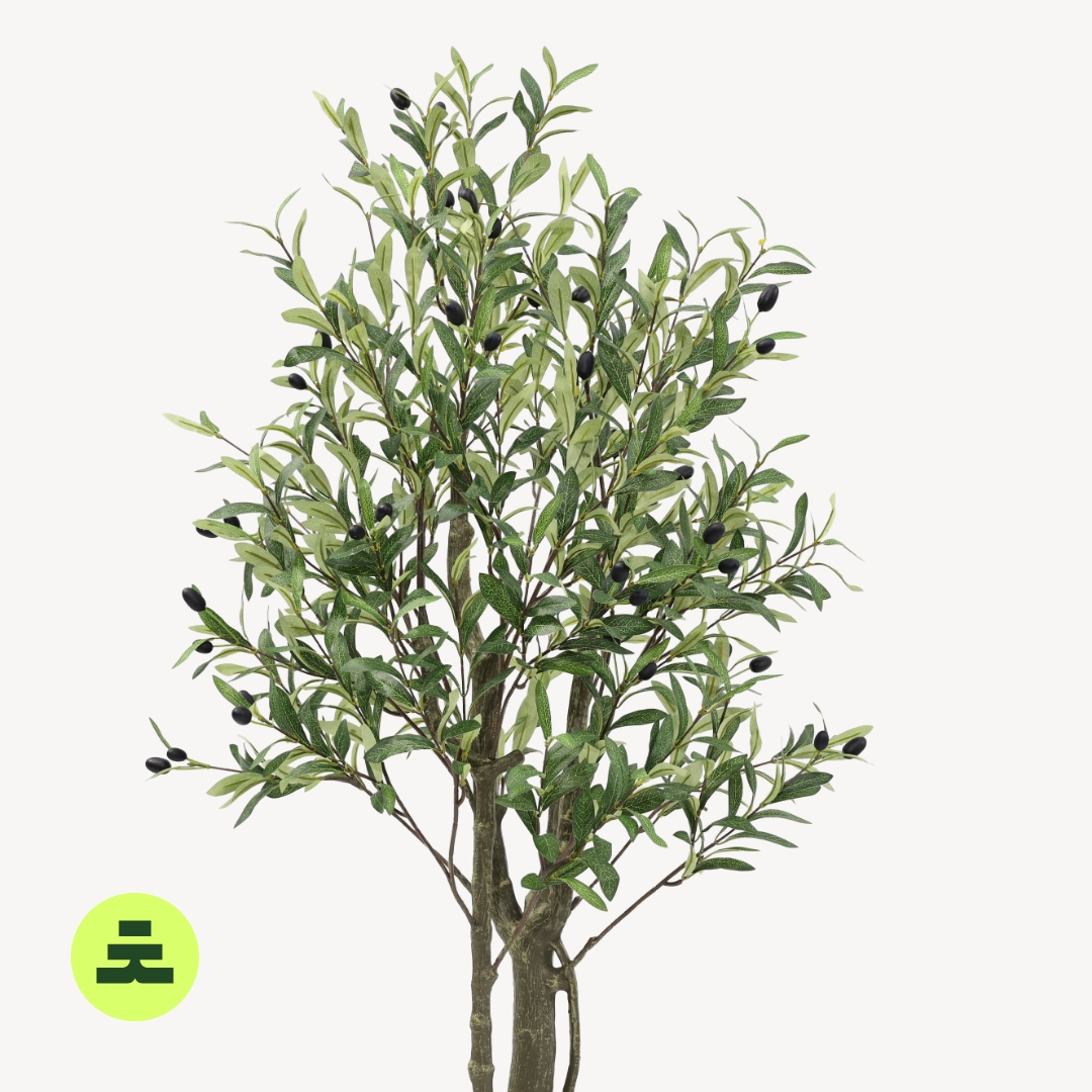 Umelý Olivovník Hnedý 150 cm - Image 4