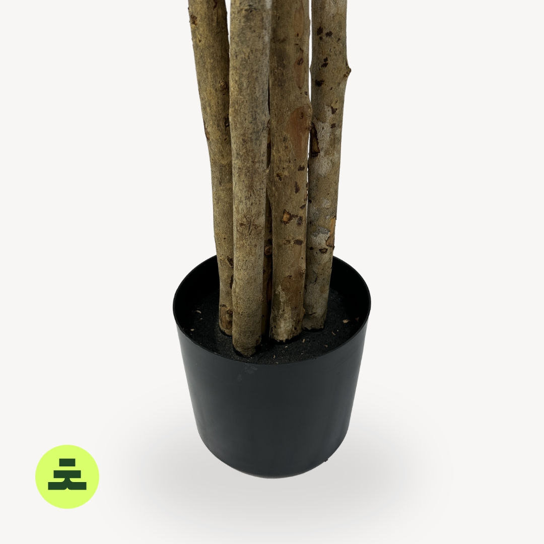 Umelý Olivovník Viackmenný 150 cm - Image 4
